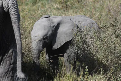 DSC_3862 (Large).JPG